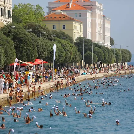 Apartament Ventum *